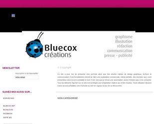 descriptif portfolio bluecox affiche-flyer