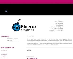 descriptif portfolio bluecox applications