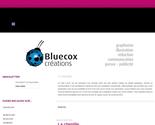 descriptif portfolio bluecox applications