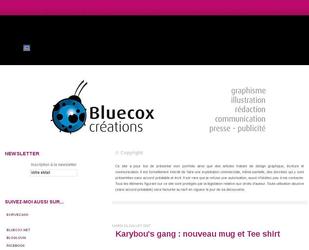 descriptif portfolio bluecox autre