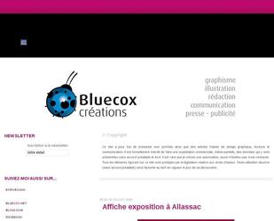 descriptif portfolio bluecox affiche-flyer