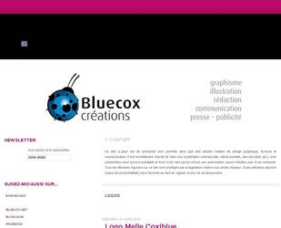 descriptif portfolio bluecox logo