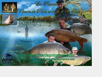 descriptif portfolio dess affiche-flyer