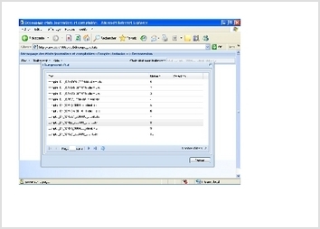 Une application web qui est accessible via l'intranet d'une compagnie d'électricité. Les utilisateurs s'y connectent pour découper des fichiers très volumineux en petits fichiers selon leur appartenance à une exploitation donnée. En d'autres termes sur le territoire national, la compagnie a reparti plusieurs exploitations et ses employées peuvent accéder à l'application web et les traiter.