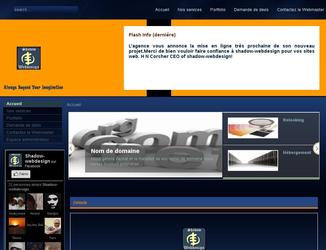 le site internet de mon agence r&eacute;aliser avec JOOMLA 1.6