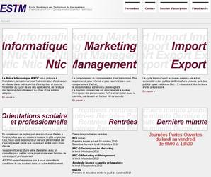 Site web de l Ecole Suprieure des Techniques du Management