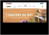 Ija shop , une market place pour les artisans tunisien. C est une plateforme qui permet aux artisans de souscrire  un member_ship_plan  fin de crer leurs boutiques en ligne et uploader leurs produits (avec les variations, prix, description ...) . Ija shop assure le marketing digital des tous les produits sur la plateforme en prenant une commission sur les ventes . 
Vous pouvez voir projet sur l URL : https://ijashop.com/