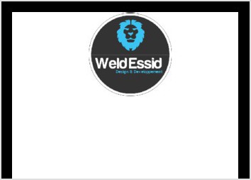 descriptif portfolio weld-essid 