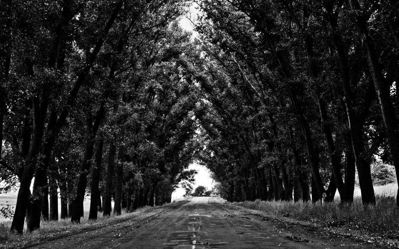 Je crée votre design system et bibliothèque de composants UI