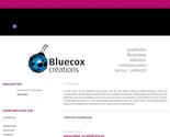 descriptif portfolio bluecox autre