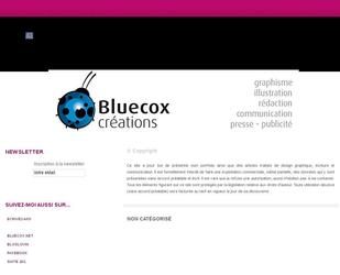 descriptif portfolio bluecox autre