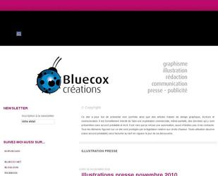 descriptif portfolio bluecox autre