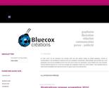 descriptif portfolio bluecox autre