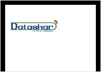 descriptif portfolio dataskar logo