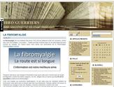 Site web assez simple, le sujet est la fibromyalgie, une maladie encore inconnu en france.