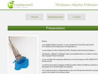 Graphisme + Développement de mon site web