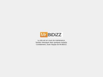 Mr.Bidizz est le premier site web d'enchère de connaissance en ligne. C'est un jeu multijoueur ou vous répondez à des quizz avec une difficulté plus ou moins élevé et qui vous permet de remporter les lots HITECH.