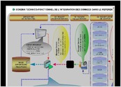 Gestion des projets