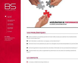 Logo, plaquettes, cartes de visite et site internet pour un spcialiste d actions commerciales terrain