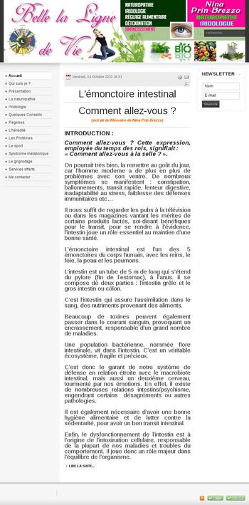 descriptif portfolio nbea 