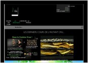 Site web réalisé sous PrestaShop