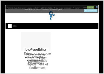 Site de présentation du projet d?éditeur de Design Avancé pour Prestashop