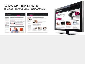 My eBusiness: Gestion des systmes d informations, cration sites web et applications