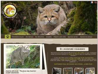 descriptif portfolio nycopath 