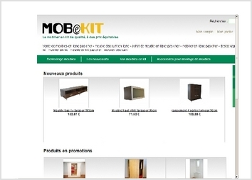 - achat meuble en ligne (en 1ère position sur Google avec 3 070 000  résultats Google)
- meuble en kit (en 1ère position sur Google avec 2 870 000 résultats Google)
- fabricant meuble en kit (en 1ère position sur Google avec 557 000 résultats Google)