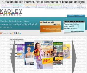 logiciel de vente en ligne 