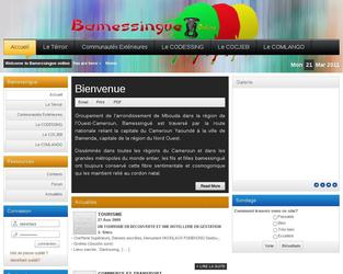Conception et d�veloppement du site web de la communaut� Bamessingue