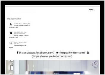 Site wordpress pour le client plantravail: int&eacute;gration, logo, webdesign, choix du couleur