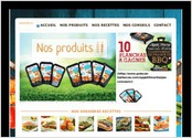 Site internet pour la promotion de brochettes de poissons