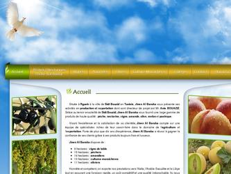 Site web Statique de 5 &agrave; 7 pages
et Optimisation pour le refrencement 