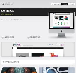 Etude, concept, naming, logo, charte graphique,int&eacute;gration, d&eacute;veloppement, mise &agrave; jour, r&eacute;f&eacute;rencement.