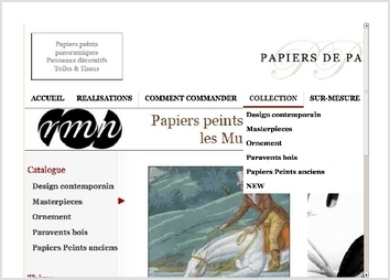 R&eacute;alisation de sites de commerce en ligne 
- Charte graphique
- param&eacute;trage CMS PEEL
- Impl&eacute;mentation de modules PHP
- Gestion de l'h&eacute;bergement